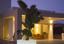 Obtener más luz en su hogar