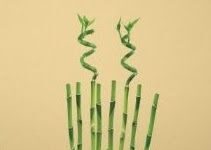 Decorar paredes con diseños naturales decorar_paredes_con_flores