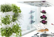 Tener un Huerto vertical en Cocinas de cualquier tamaño