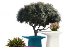 ¿No tienes Jardín o Terraza?, Usa Parte de tu Salón