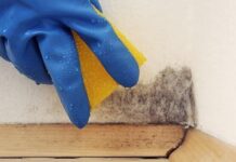 La Humedad en Casa, Cómo Evitarla