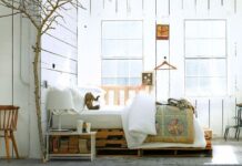 Lección 11:Innovación con reciclaje Lección 11:Innovación con reciclaje