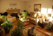 Cómo debes decorar con flores, consejos a seguir