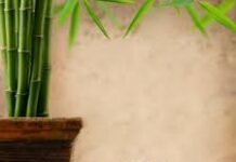 Curso de Feng Shui 11: Aumenta la creatividad de tus hijos