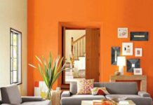 Curso online de feng shui 3: Los colores del feng shui parte 2