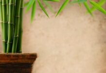 Curso Online de Feng Shui 7: Elegir una casa