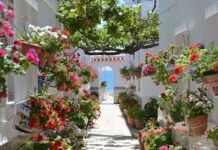 Vacaciones con estilo en el Sur: Tu apartamento en Sevilla patio andaluz