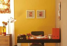 Curso de Feng Shui 12: La carrera profesional