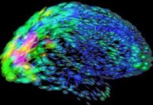 Decorar con colores diferentes puede cansar la mente