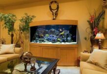 Utilizar Acuarios en la Decoración del Hogar decoracion de casa con acuario