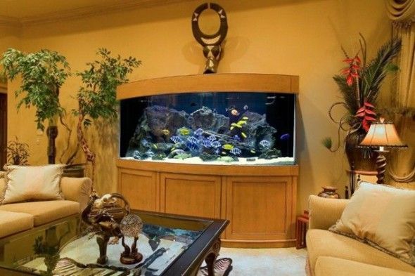decoracion de casa con acuario