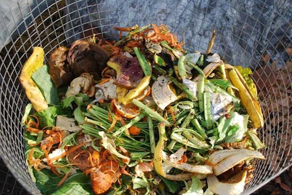 Cómo Elaborar Tu Propio Compost