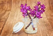 Cómo Elegir un Decorador de Interiores Cómo Elegir un Decorador de Interiores