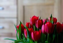 Cómo Decorar tu Casa con Flores en San Valentín