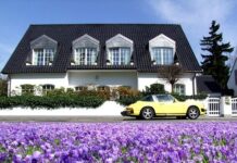 Consejos para Decorar una Casa con Alma Consejos para Decorar una Casa con Alma