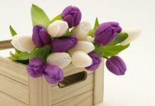 Ideas para Decorar tu Casa con Flores Ideas para Decorar tu Casa con Flores