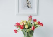 Ideas para una Decoración Minimalista y Funcional