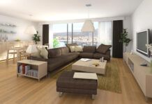 🌺 Cómo Elegir las Mejores Plantas de Interior para tu Hogar como elegir las mejores plantas de interior